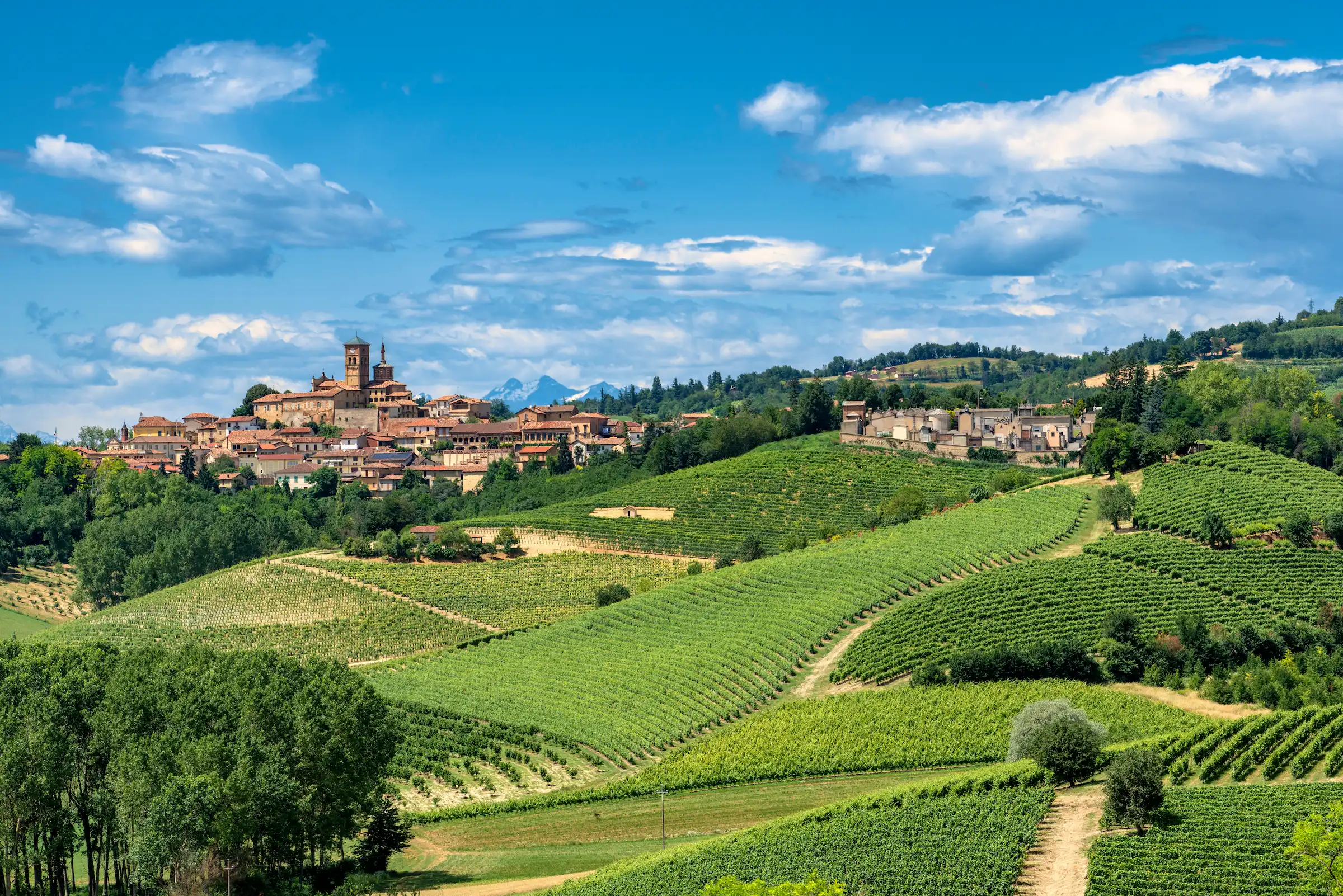 Vista di Cuneo da lontano su collina